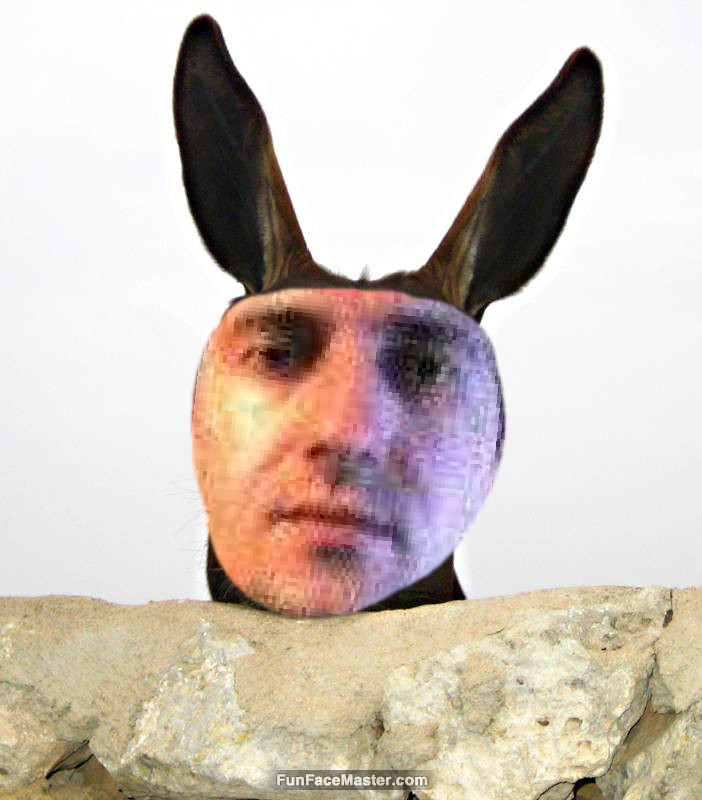 uutu use idiot donkey template put your face in fun photo