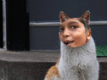 huzaifa
