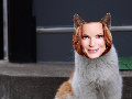 MC Kitten