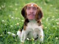 qvbnm