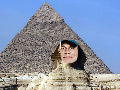 سينا