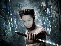 wolverine