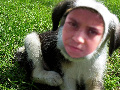 shadam