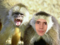fsdfs