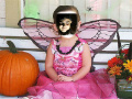 dsaf
