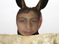 سسسس