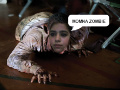 MOMNA EDITOR LAIBA KHOKHAR