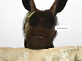matt