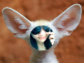 funny