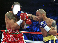 Boxing Match