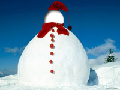 Make Snowmen