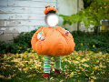 Pumpkin Kid