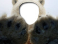 Sea Bear