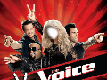 The Voice Team